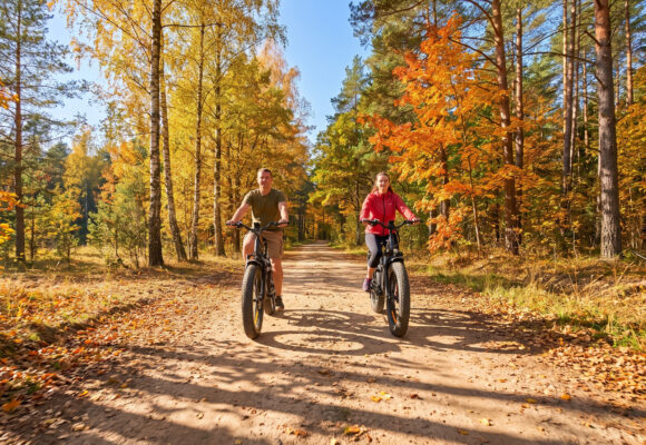 Elektro velo brīvdiena: Strīķu aplis